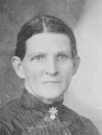 Nancy Elizabeth Shipley (1840 - 1927) Profile
